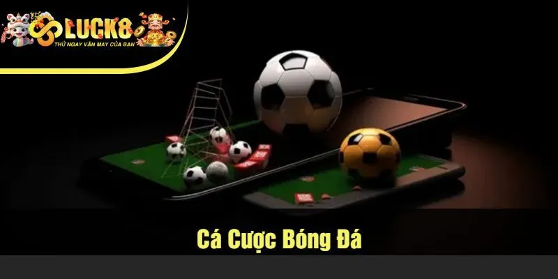 Cá Cược Bóng Đá