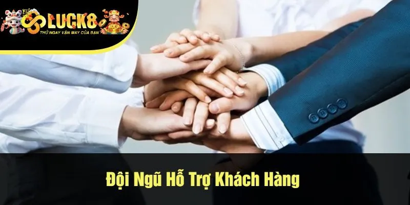 Đội Ngũ Hỗ Trợ Khách Hàng